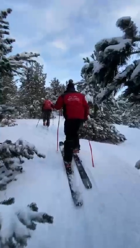 
                                                                                                                            Esquí de muntanya
                                                            